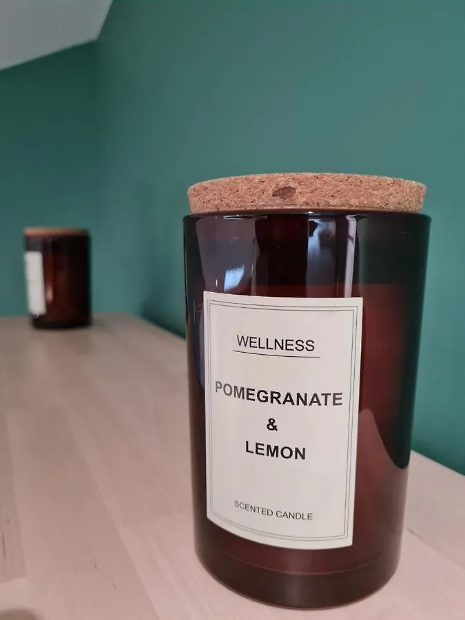 La Canopée Riom Appartement